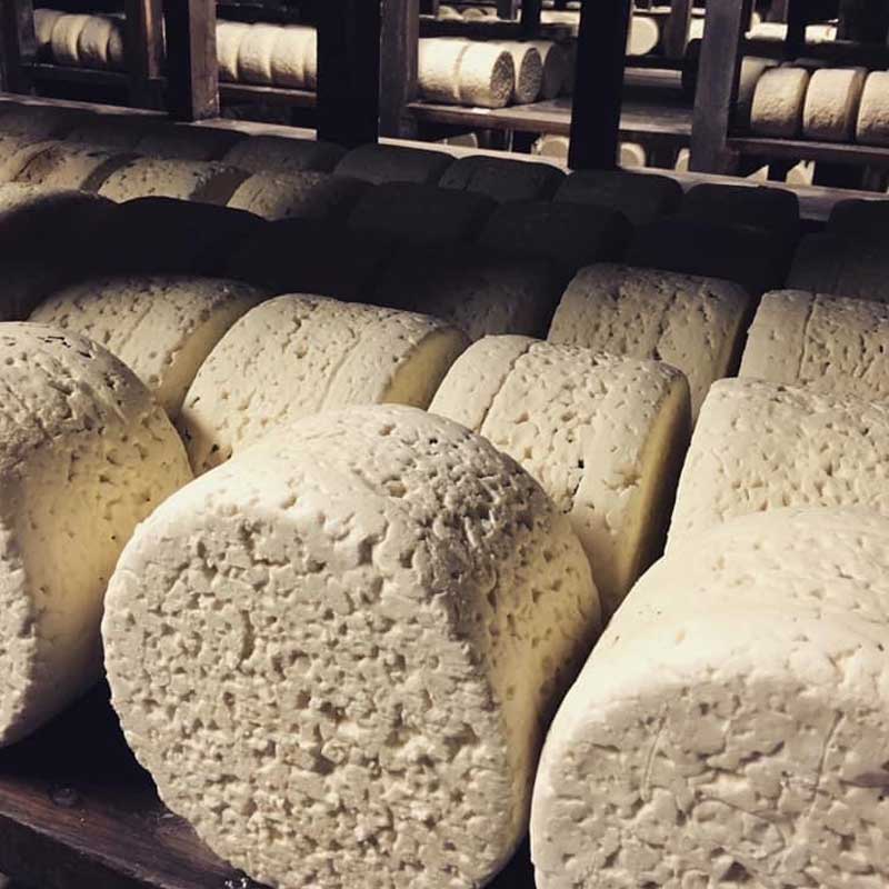 Fromager Crémier à Royan | Au tour du Fromage